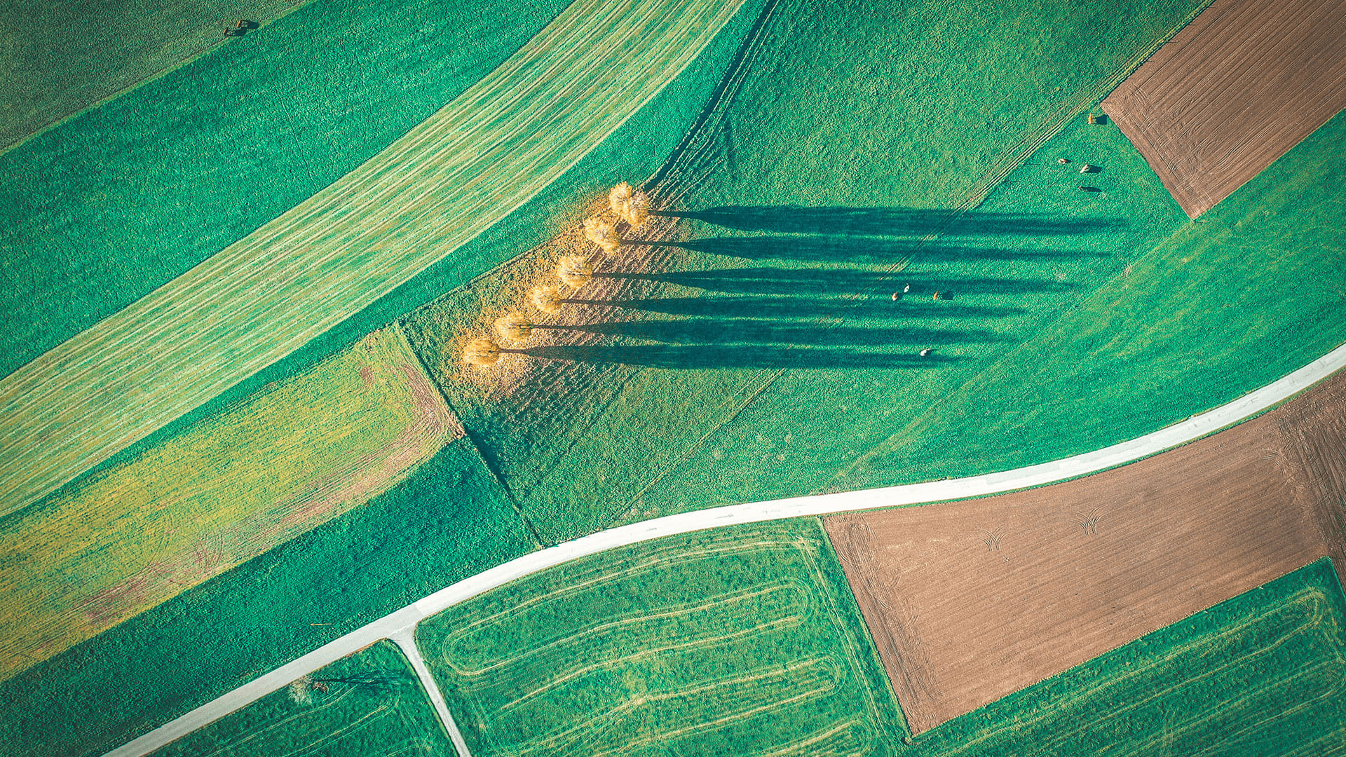 Cree su tour privado